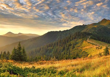 Фото компании  GoTravel 6