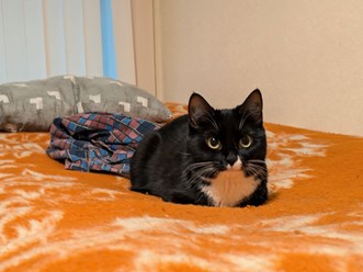 Фото компании ООО Рабочий Дом 24