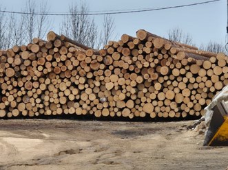 Фото компании ООО «Лестехстрой» 64