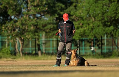Фото компании  KARVIDEAN 3