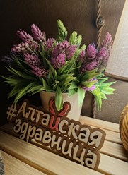 Фото компании  Франшиза таежного спа «Алтайская здравница» 1