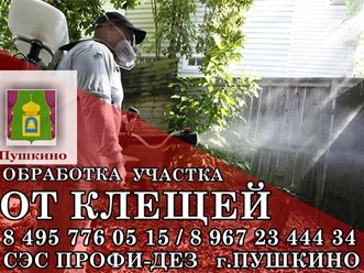 Фото компании ООО Профи - Дез 24