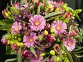 Фото компании  "Мои любимые цветы" 4