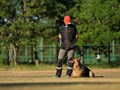 Фото компании  KARVIDEAN 3