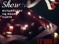 Фото компании  GOFshow 5