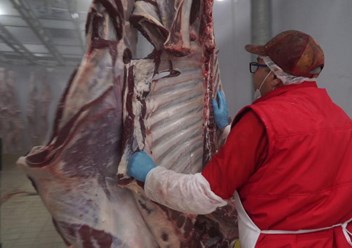 Фото компании ООО Тримт 2