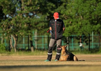 Фото компании  KARVIDEAN 3