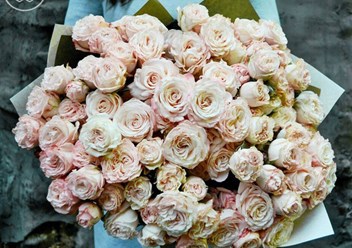 Фото компании ИП Семицветик 6