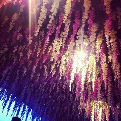 Фото компании  Якитория, кафе-бар 25