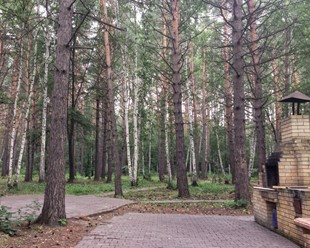 Фото компании  Усадьба Грибаново, база отдыха 2