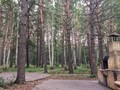 Фото компании  Усадьба Грибаново, база отдыха 2