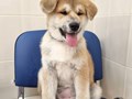Фото компании  Веда 1