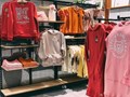 Фото компании  Береги Камчатку 5