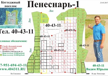 Схема коттеджного поселка Пенеснарь-1. Участки в коттеджных поселках Смоленск. 40-43-11. Захаров Вадим. Коттеджные поселки Борок, Пенеснарь Шпаки. Агенство недвижимости РИЭЛТ.