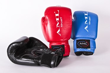 Перчатки для бокса AML Sport цена 2690 руб.