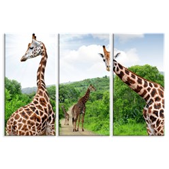 Модульная картина Жирафы, m0122 - под заказ, общим размером от 90х60см. Детали и актуальная цена - на сайте: https://kartiny.in.ua/modulnye-kartiny/animals-15