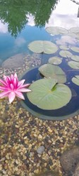 Обустройство водоемов