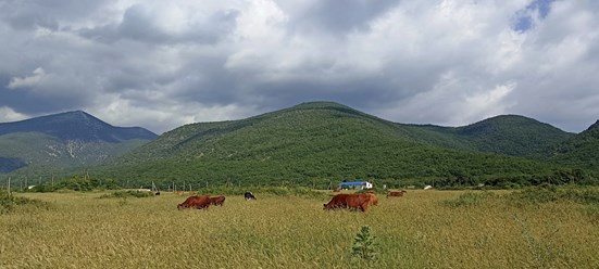 Байдарская долина