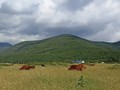 Байдарская долина