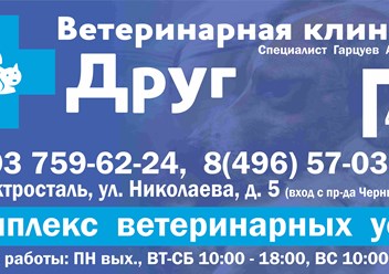 Фото компании ИП Ветеринарная клиника "Друг" 1