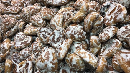 Фото компании ИП Иванов серик абрамович 1