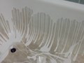 реставрация ванны наливным акрилом