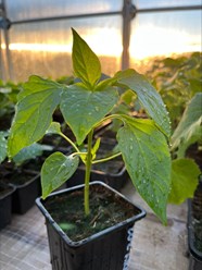 Фото компании  Бережки 2