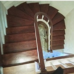 Фото компании ООО Wood-spectro 19