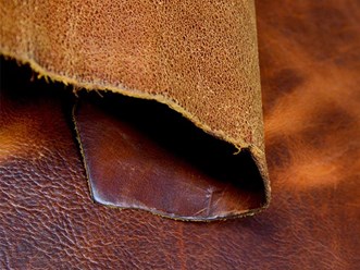 Фото компании  Флориан 12