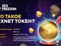 Фото компании  DexFreedom 2