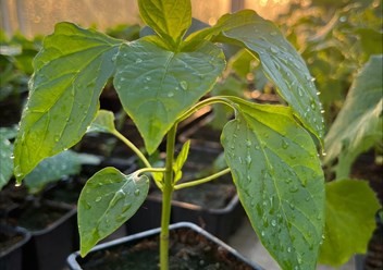 Фото компании  Бережки 2