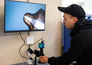 Диагностика распылителя под микроскопом