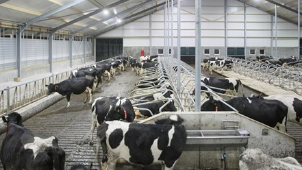 Фото компании ООО Ставропольский комбинат ЖБИ 31