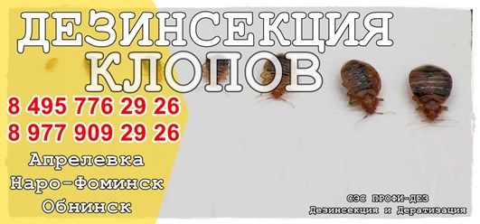#дезинфекция 
#уничтожениеклопов 
#дезинсекция 
#уничтожениеклопов 
#уничтожениенасекомых 
#дезинсекцияколомна 
#дезинфекцияколомна 
#уничтожениекомаровколомна 
#уничтожениеклоповколомнепрофидез