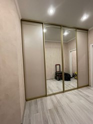 Шкаф купе с комбинированными фасадами , зеркало и ЛДСП