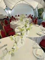 Фото компании  В цветах 28