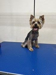 Фото компании  ZooMeister 4