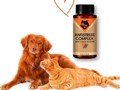 Антистресс Комплекс для собак и котов LeVi 500 mg 30 таблеток https://le-vi.com.ua/ru/nervnaya-sistema/antistress-kompleks-antistress-somplex