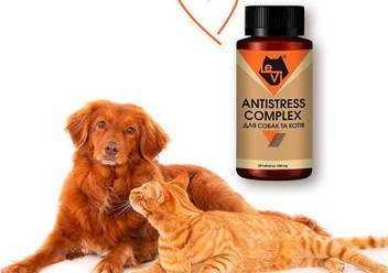 Антистресс Комплекс для собак и котов LeVi 500 mg 30 таблеток https://le-vi.com.ua/ru/nervnaya-sistema/antistress-kompleks-antistress-somplex