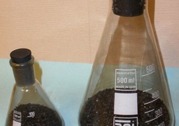 Образцы углеродных сорбентов для очистки газов и воды