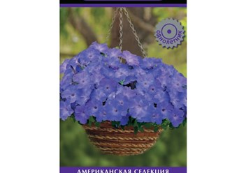 Серия цветов американской селекции!