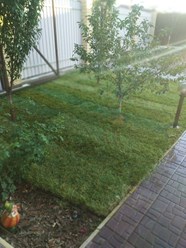 Фото компании ООО Growzone 8