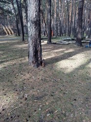 Фото компании  Парус medical resort & spa 43