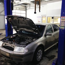 Фото компании ООО Skoda163 2