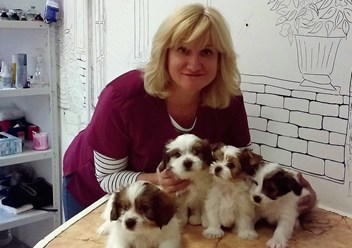 Фото компании  КОТиКо 4