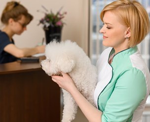 Фото компании ООО Хвостатая помощь 6