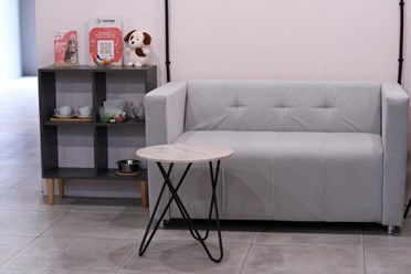 Фото компании ООО Марио Груминг 4