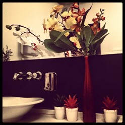 Фото компании  Цветение Сакуры, ресторан японской кухни 5