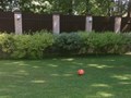Фото компании  Частный детский сад-ясли Baby Park 3
