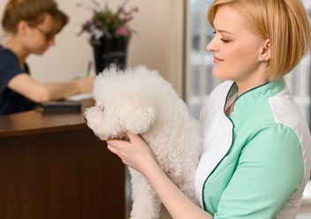 Фото компании ООО Хвостатая помощь 6